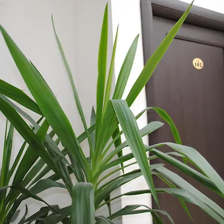 Hotel Corona 3* Drobeta Turnu Severin